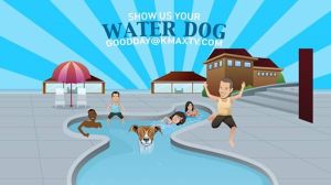 water dog 1