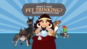 pet thinking 1