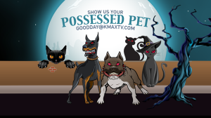 possessed pets 1