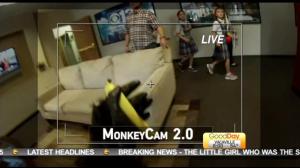 monkey cam 1