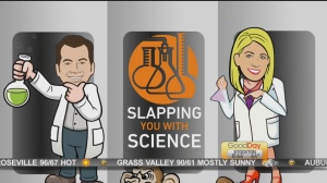 slap with science 1