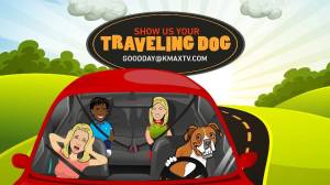 Good Day Traveling Dog 1