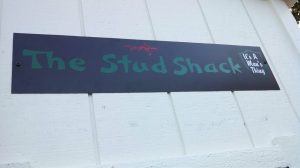 Stud shack 2