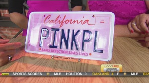 pink plate 2