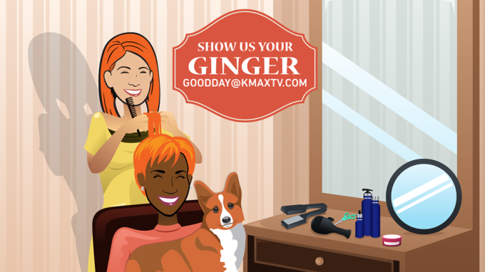 Good Day Ginger 1