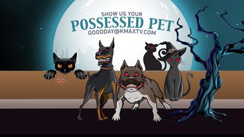 good-day-possessed-pets-1
