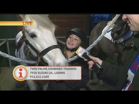 twin-palms-horse-1