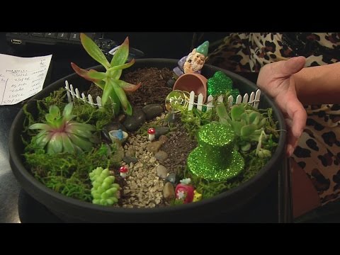 March 14 Succulent Show and Tell 1