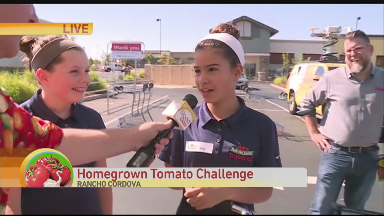 Tomato Challenge 2