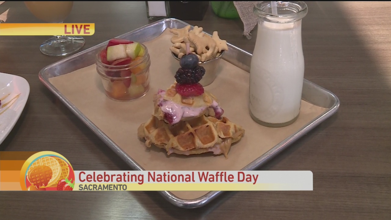 Waffle Day Exper 2