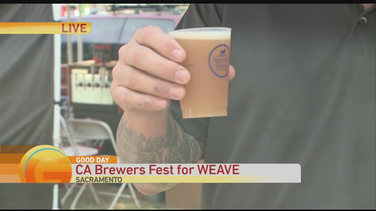 Brewers Fest 1