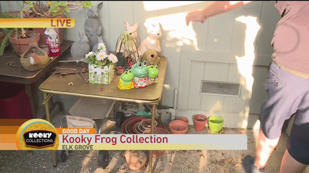 Frog Collection 2