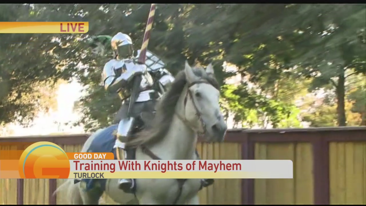 Knights of Mayhem 2