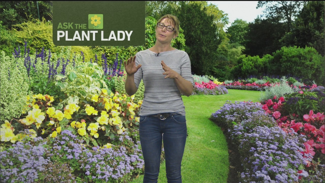 Sept 17 Plant Lady 1