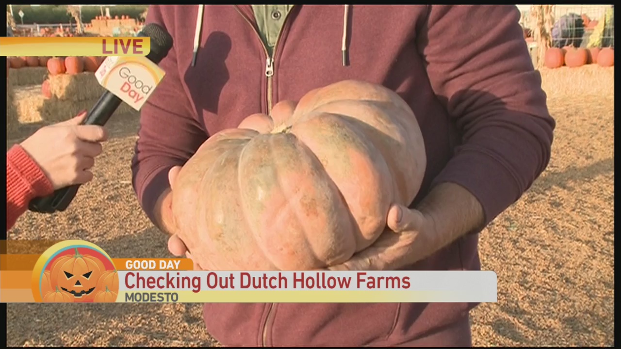 Dutch Hollow 1