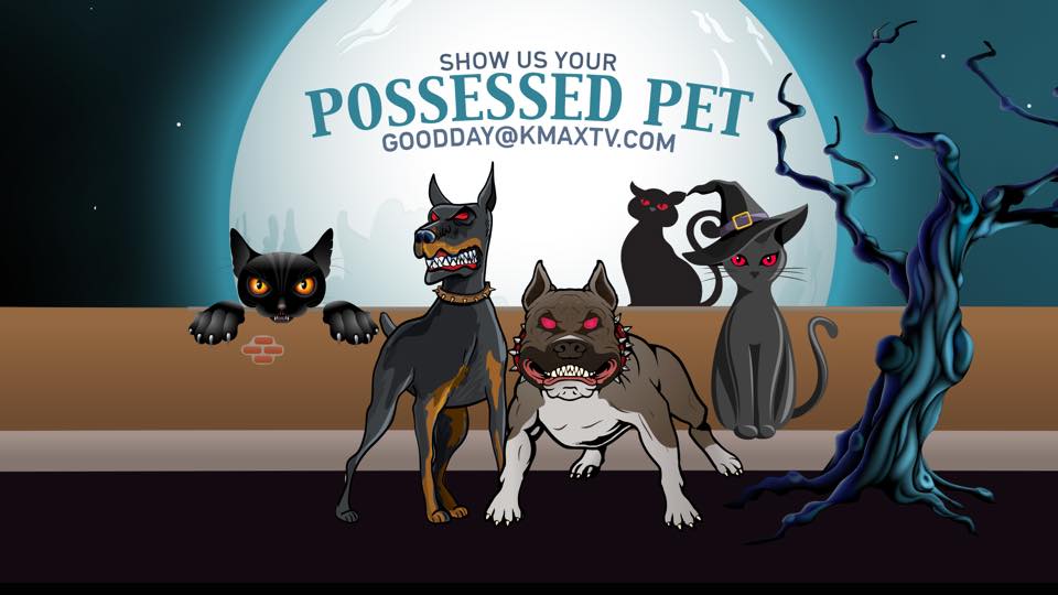 possessed pet 1