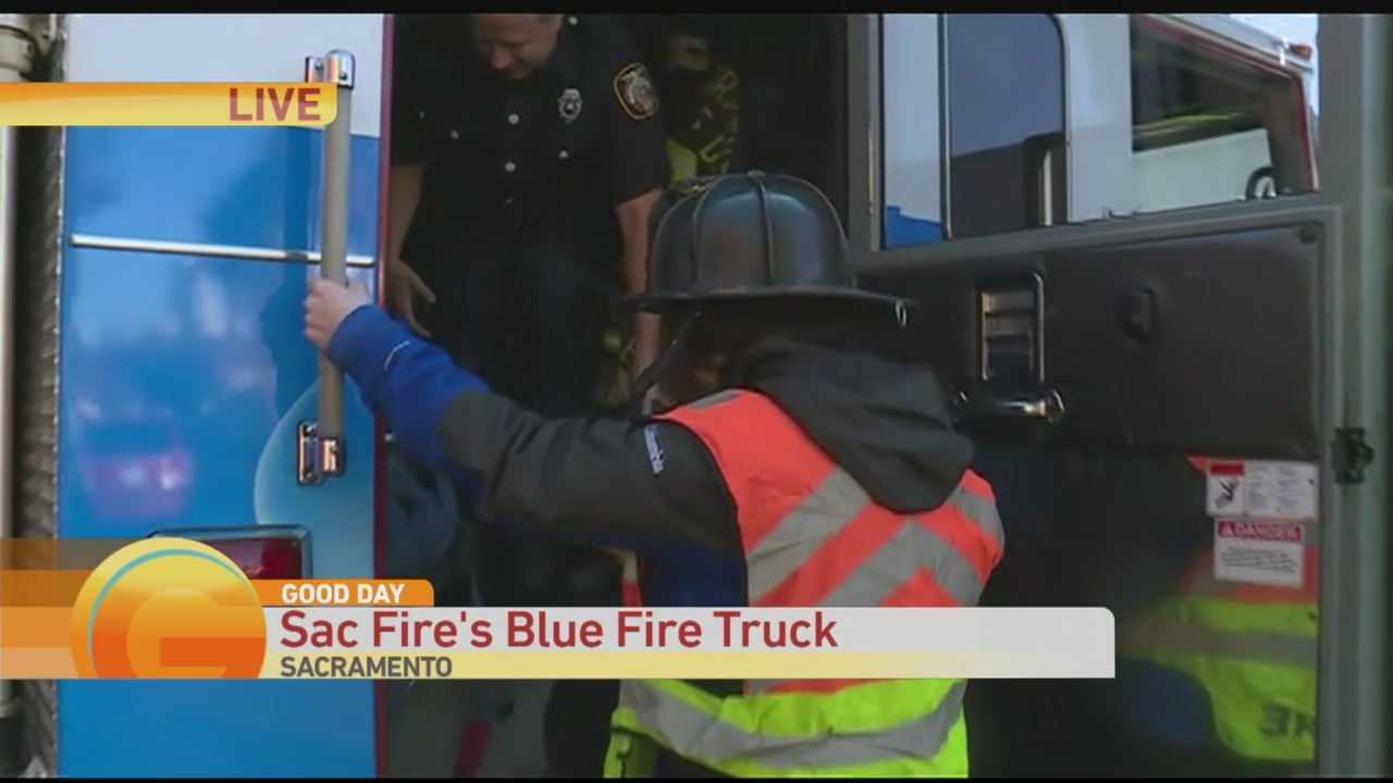 Blue Fire Truck 1