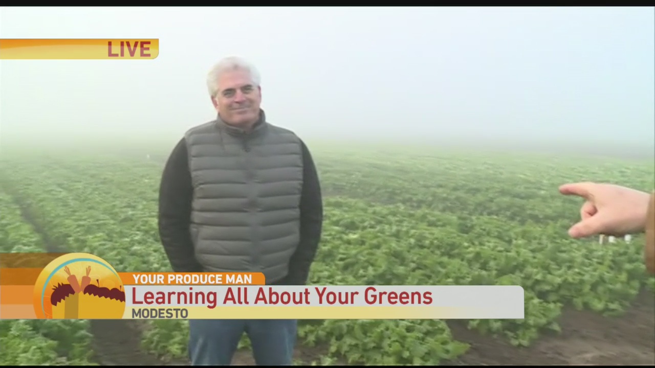 All About Greens 2