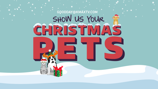 Christmas Pets 1