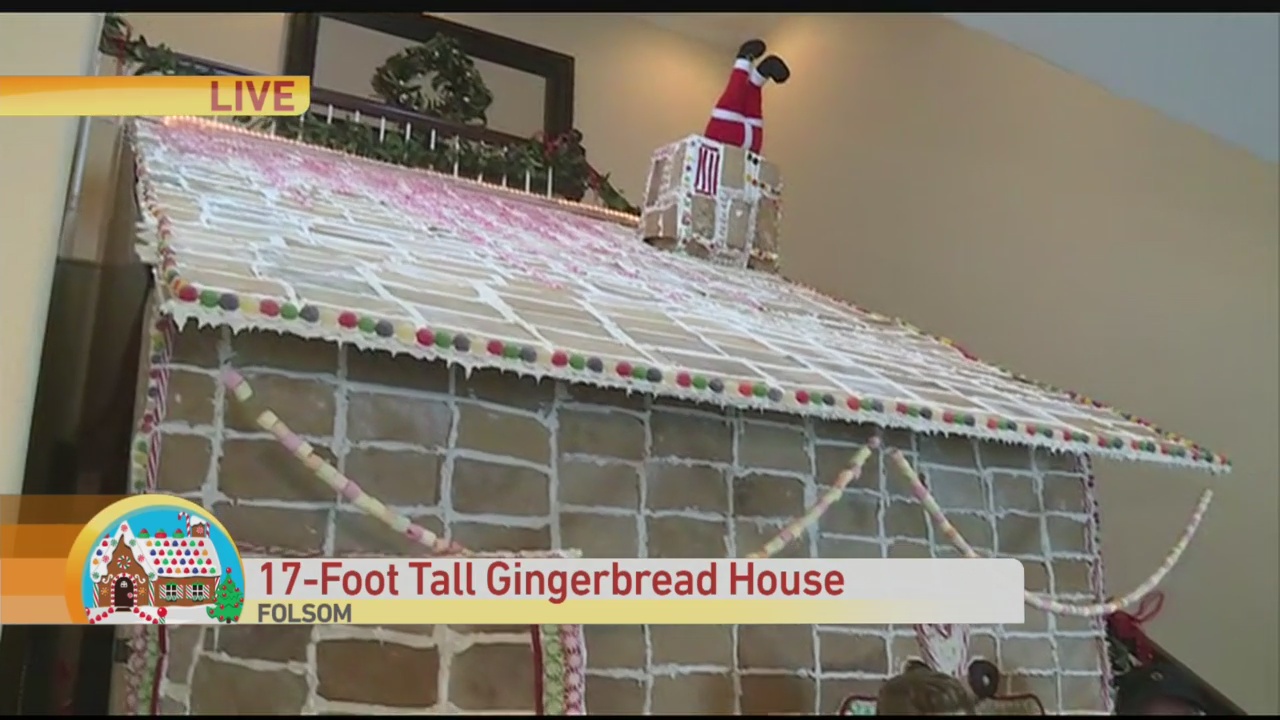Giant Gingerbread house 1
