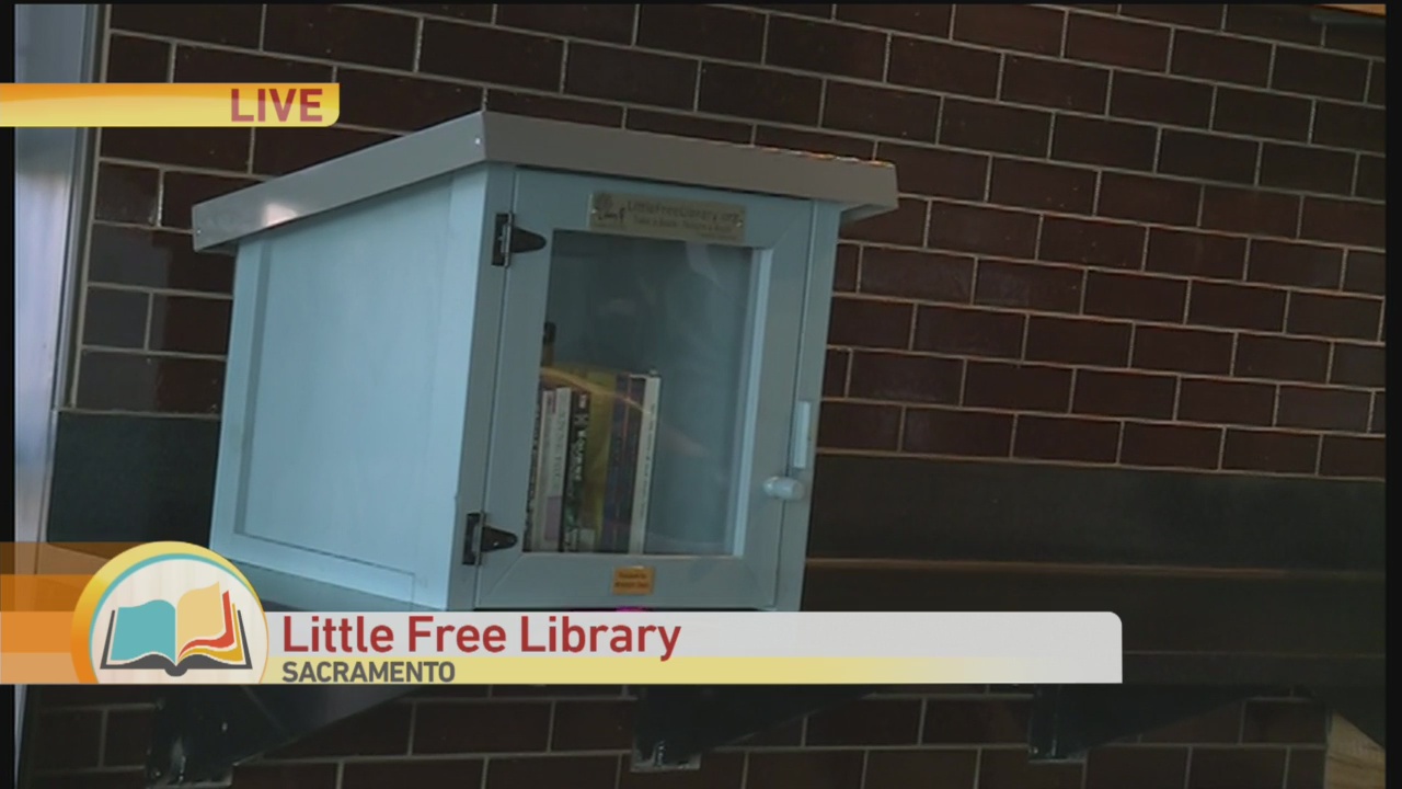 Little Library 1