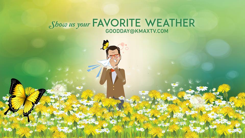 Favorite Weather 1