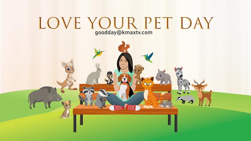 Love your Pet Day 1