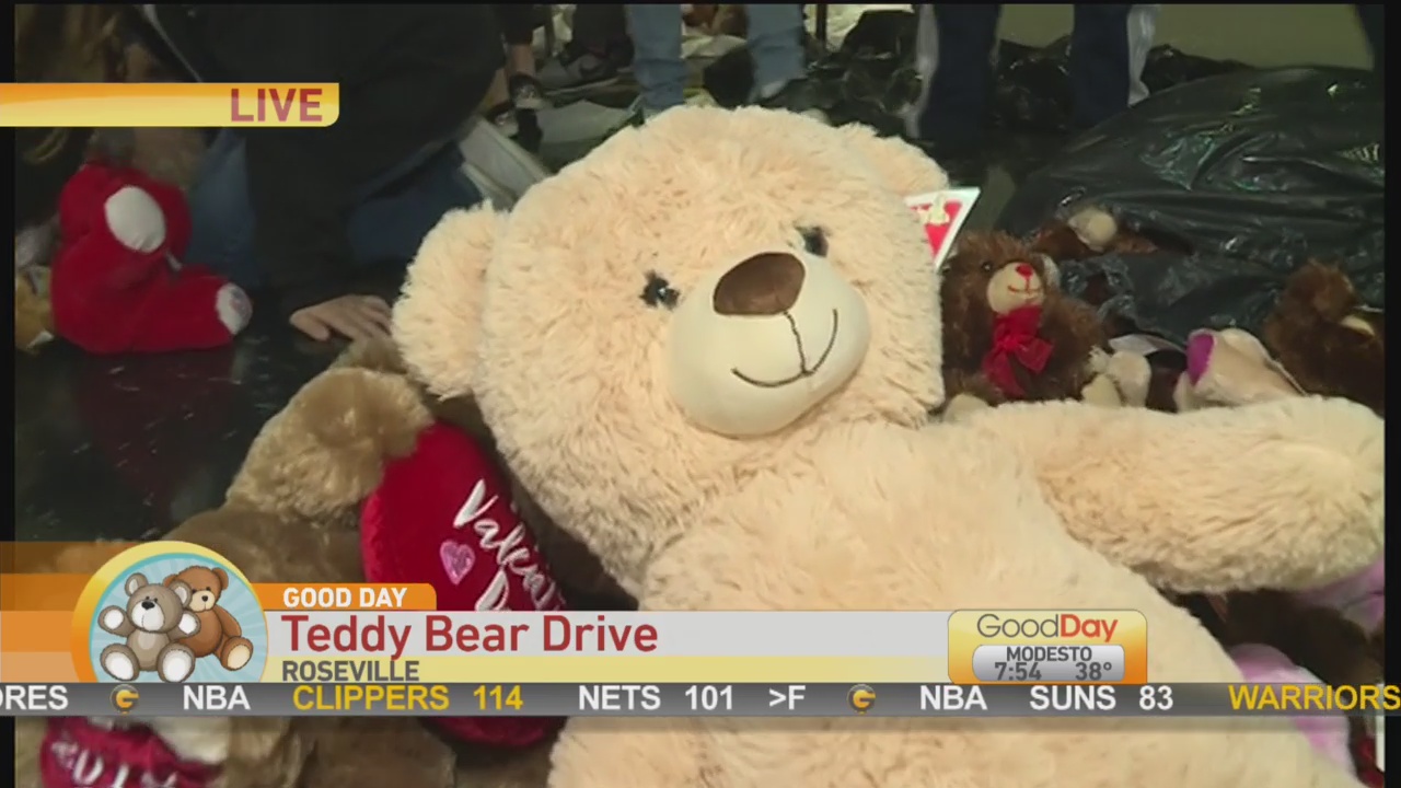 Teddy Bear 1
