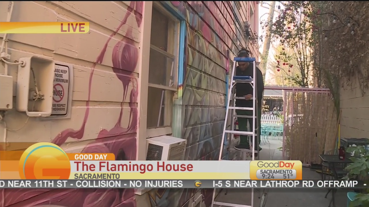 Flamingo House 2
