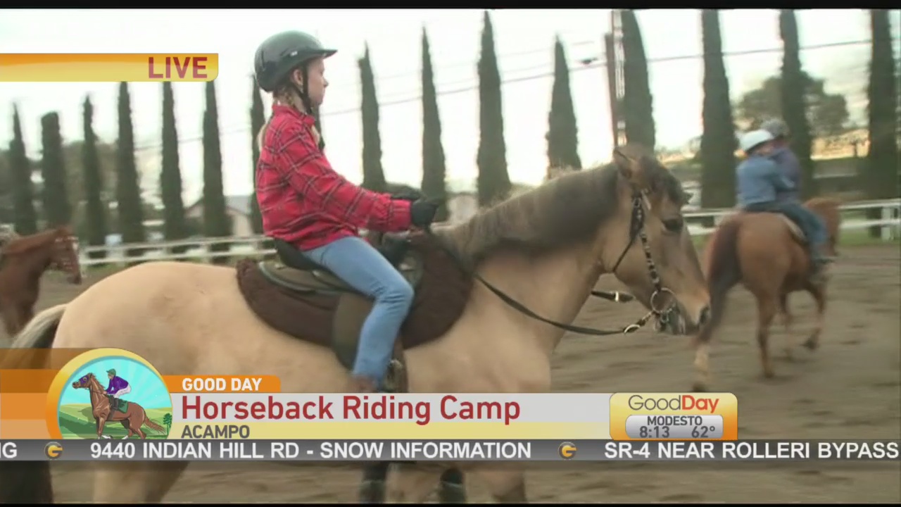 Horse Riding Camp 1