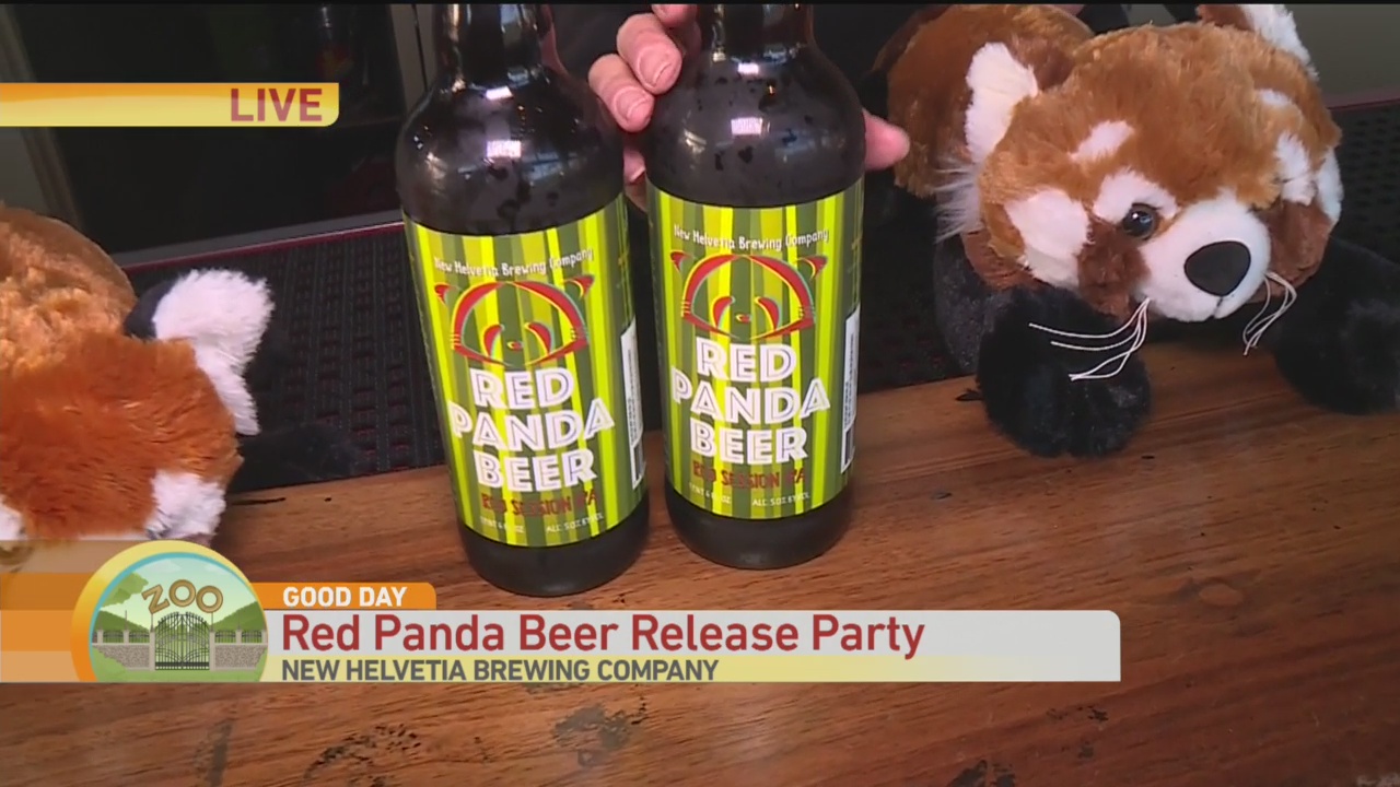 Panda Beer 1