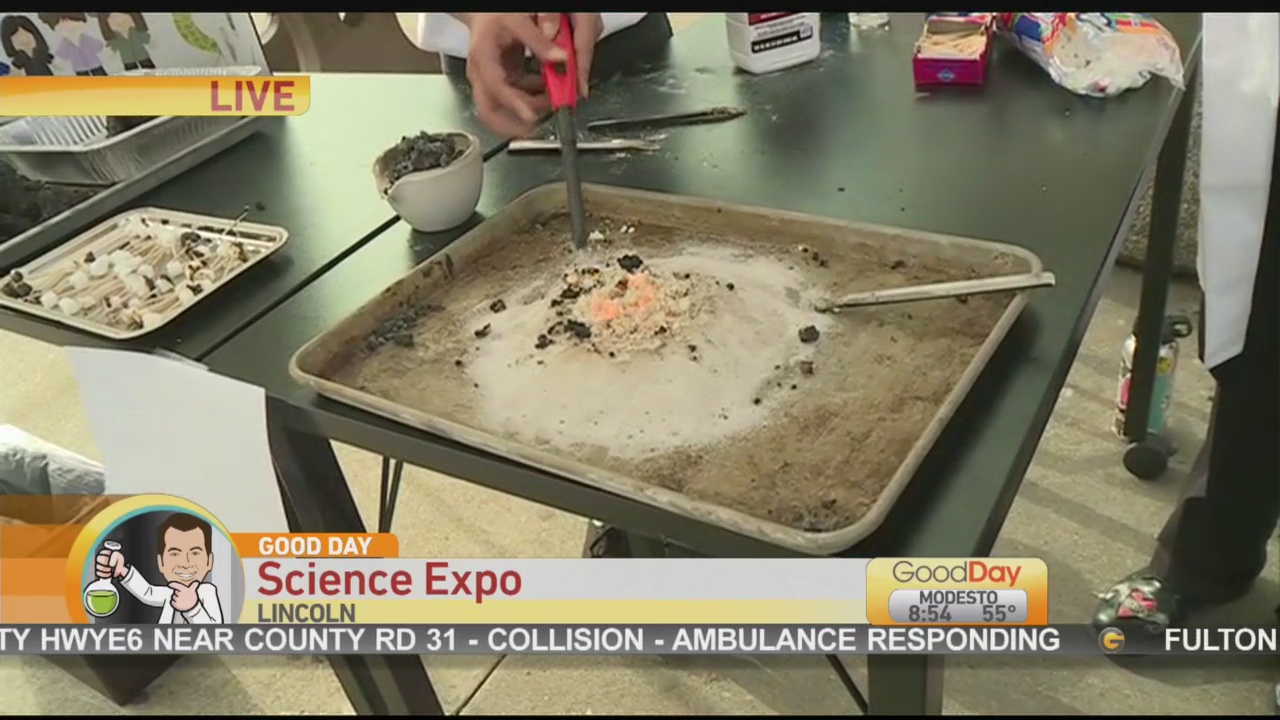 Science Expo 1