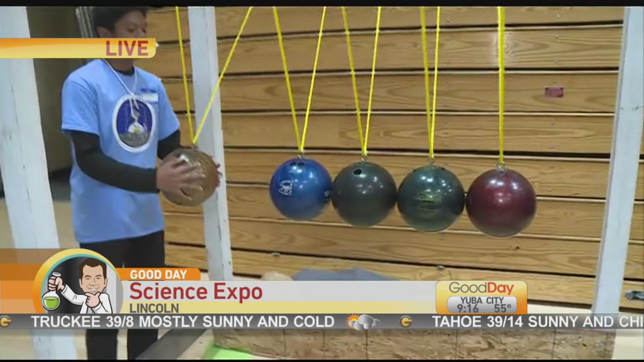 Science Expo 2