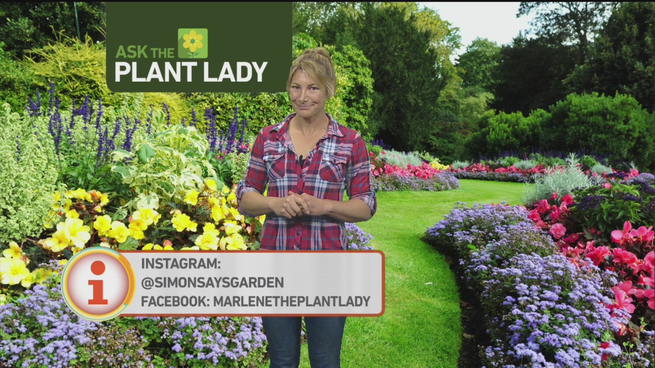 April 1 Plant Lady 3