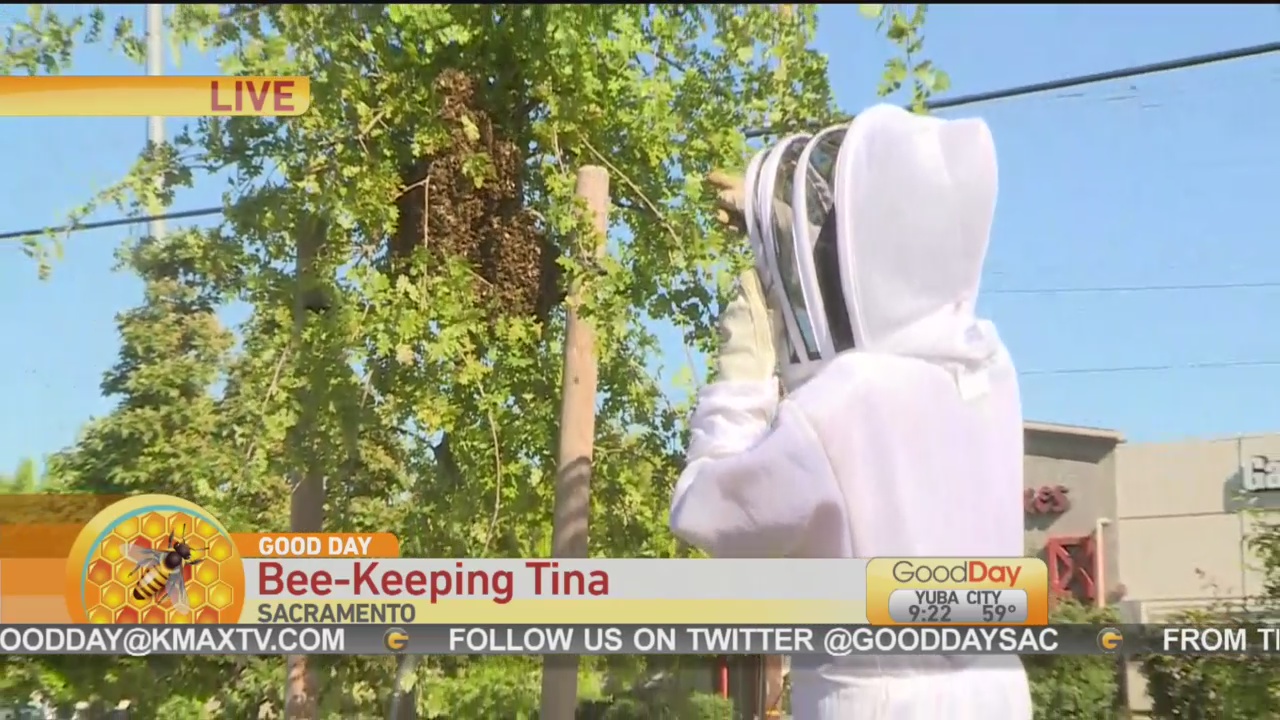 Bee Keeping Tina 1