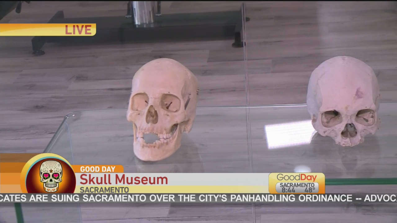 Skull Museum 1