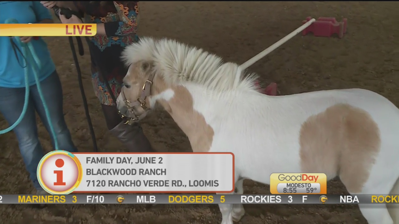 Blackwood Ranch 1