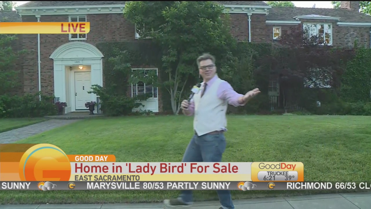 Lady Bird Home 2