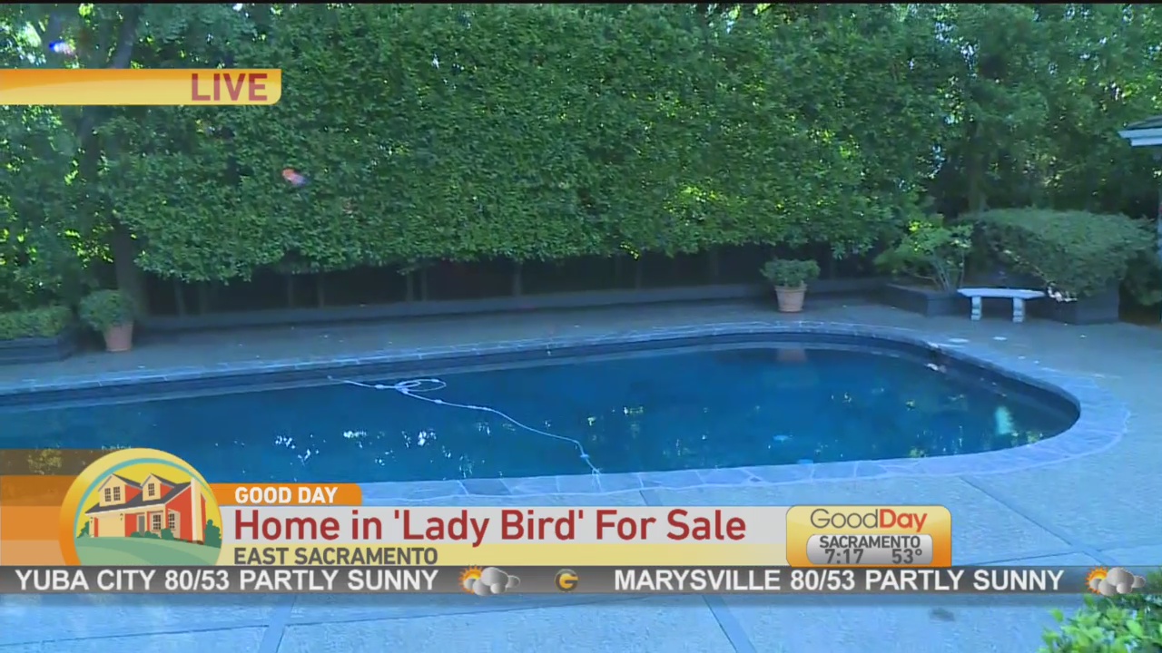 Lady Bird Home 3