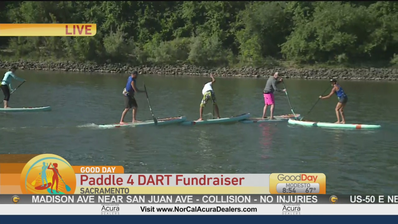 Paddle For DART 1