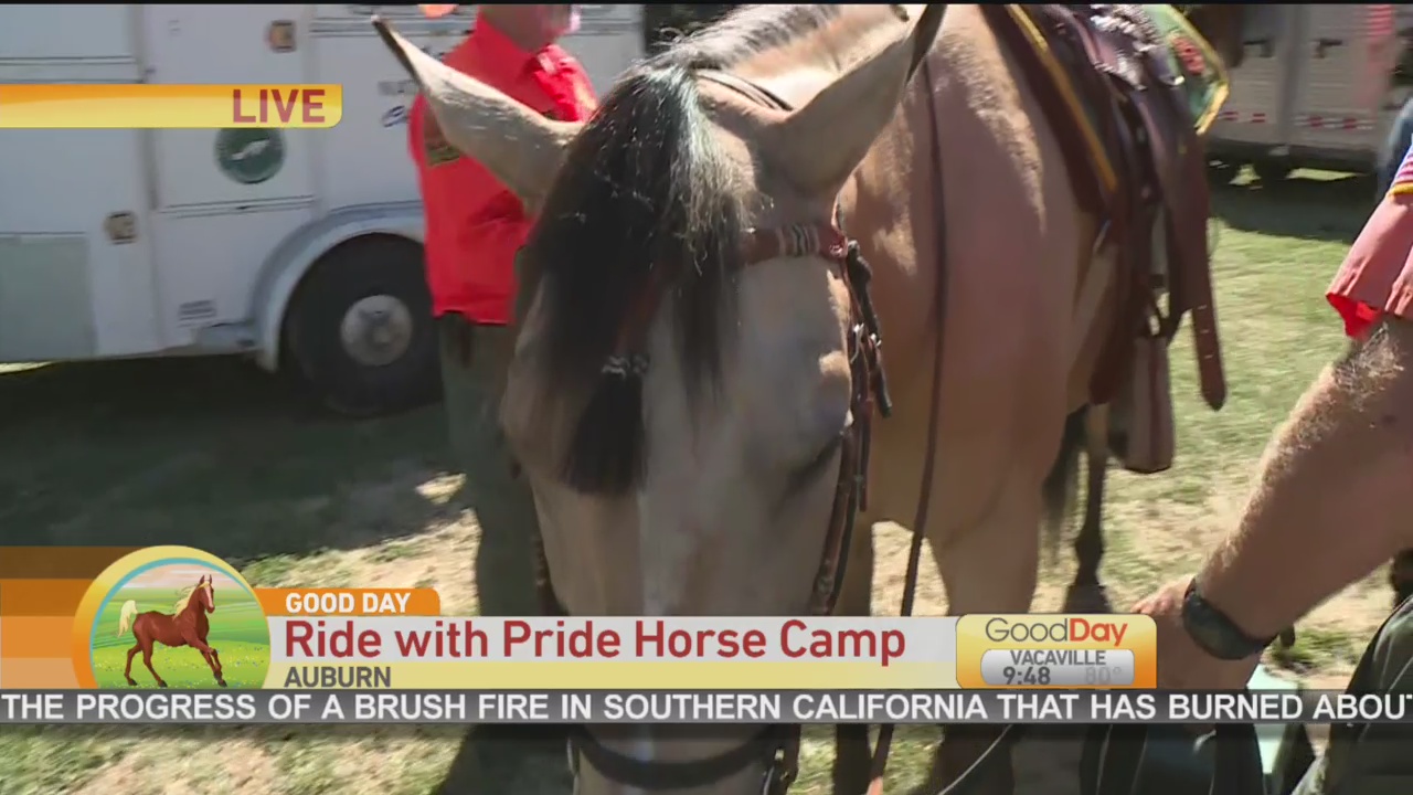 Ride With Pride 2