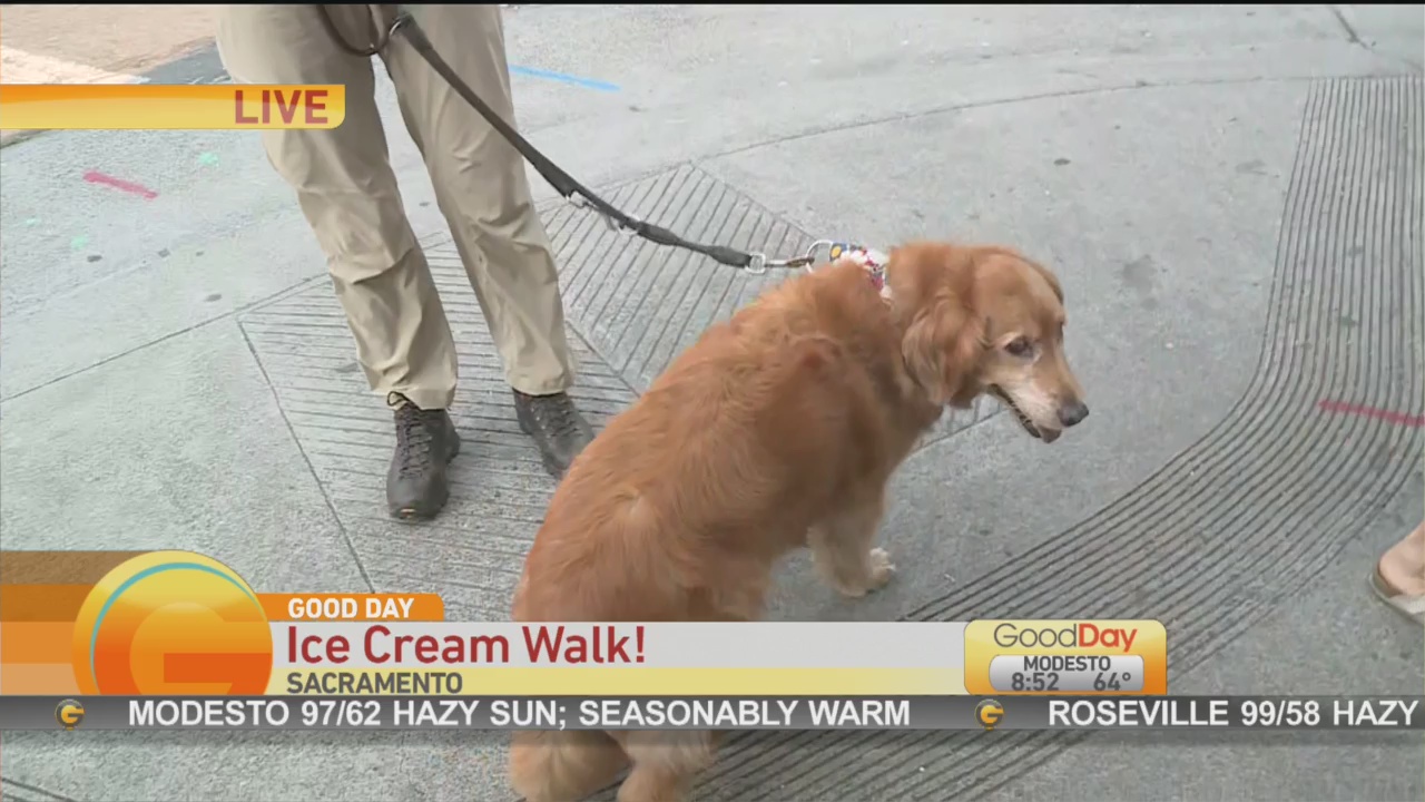 Ice Cream Walk 1