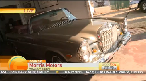 Morris Motors 2